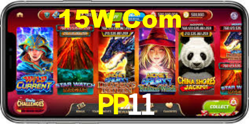 PP11