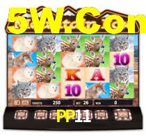 PP11 Login