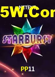 PP11